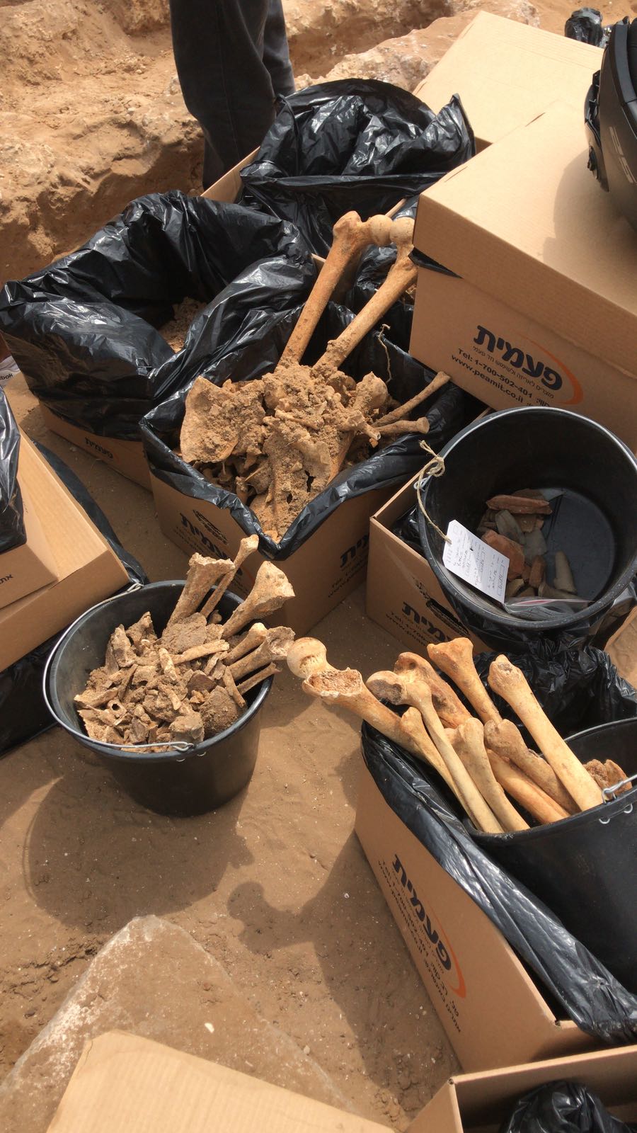 WhatsApp Image 2020-06-17 at 9.30.51 AM.jpeg.jpeg